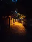 夜 夜